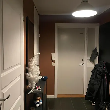 2 Etasjers * 特隆赫姆