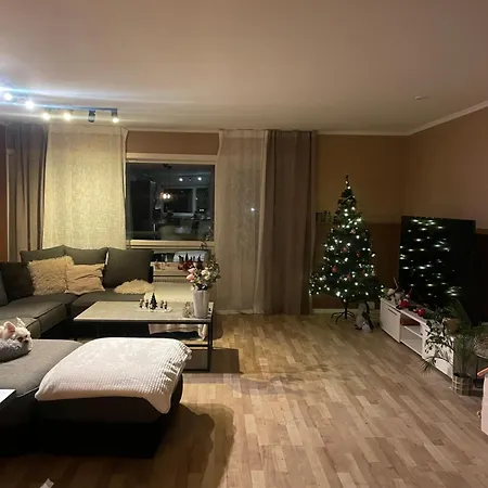 2 Etasjers 特隆赫姆